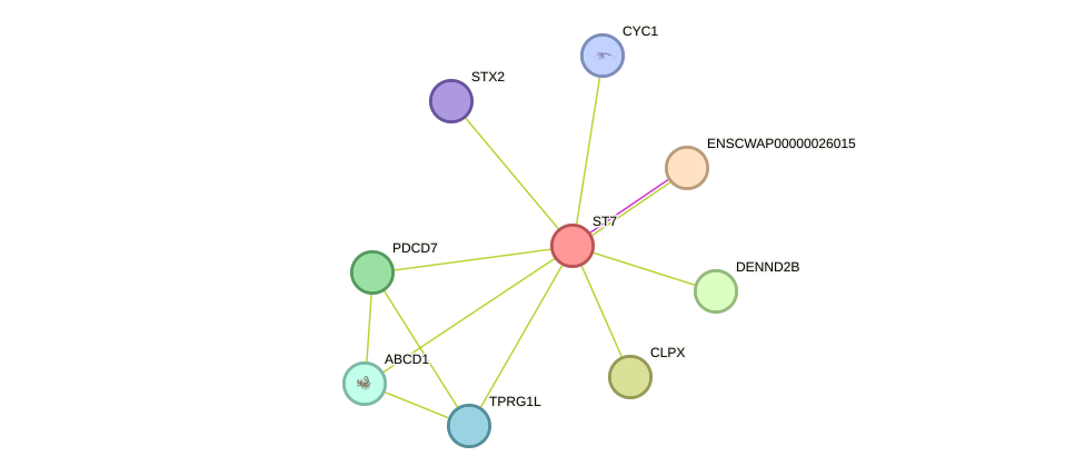 STRING protein interaction network