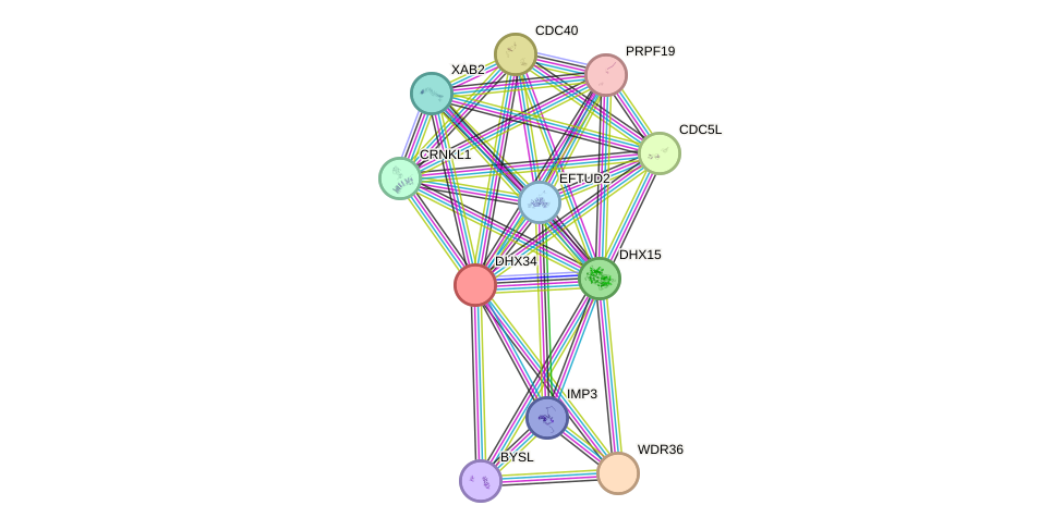 STRING protein interaction network