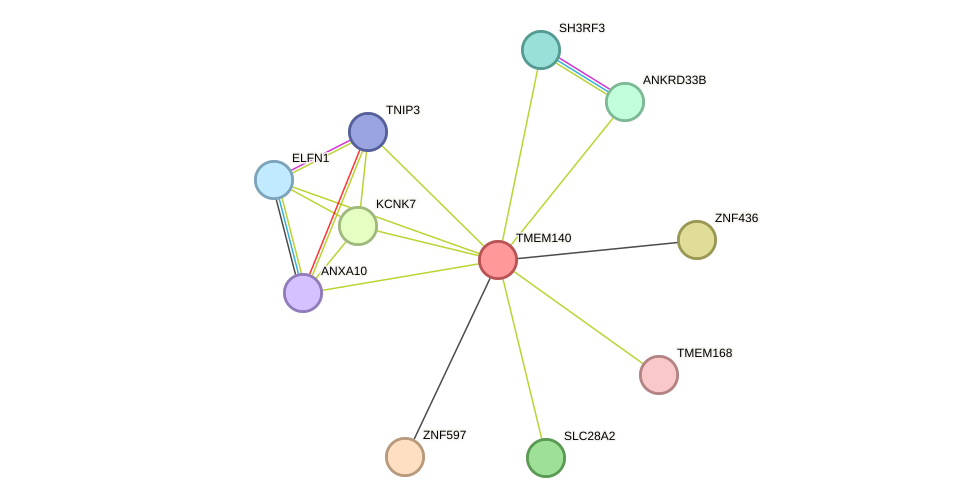 STRING protein interaction network