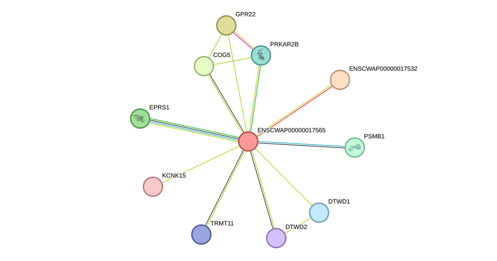 STRING protein interaction network