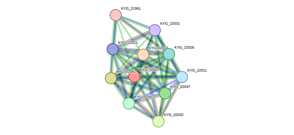 STRING protein interaction network