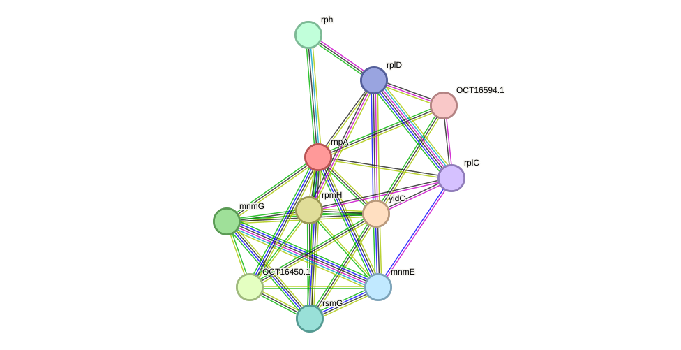 STRING protein interaction network