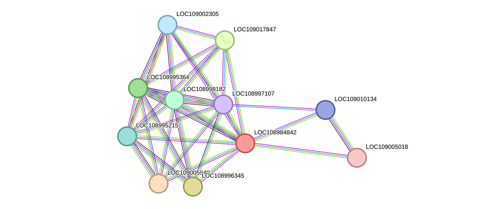 STRING protein interaction network