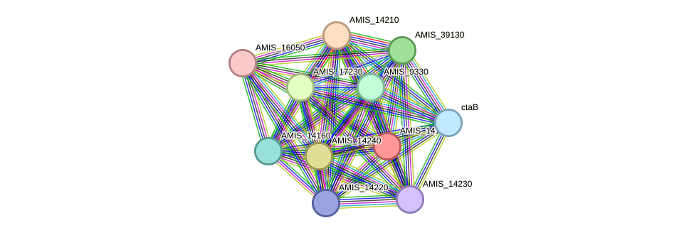 STRING protein interaction network