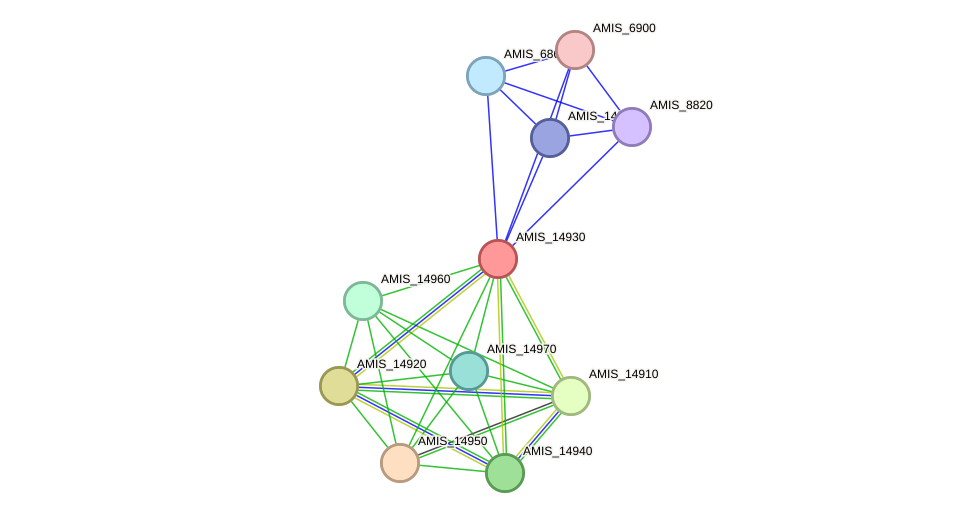 STRING protein interaction network