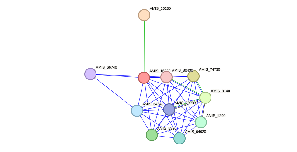 STRING protein interaction network