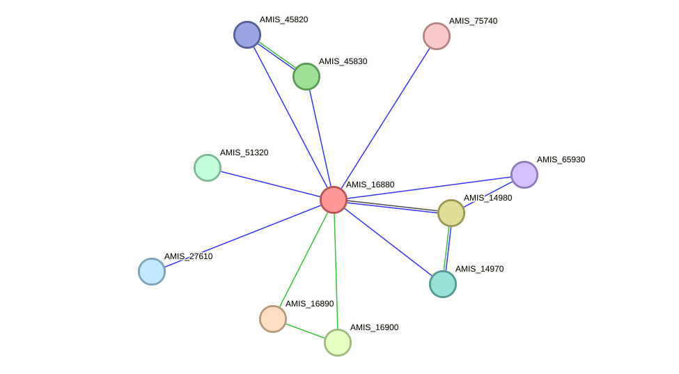 STRING protein interaction network