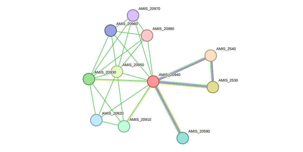 STRING protein interaction network