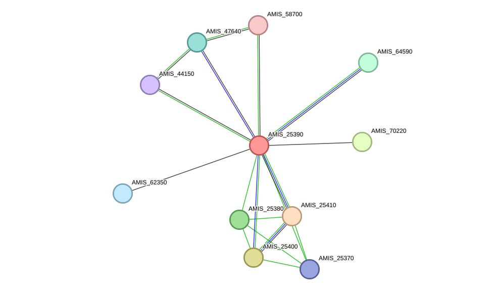 STRING protein interaction network