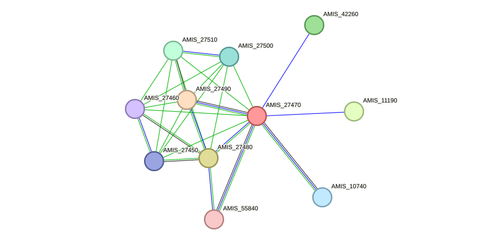 STRING protein interaction network