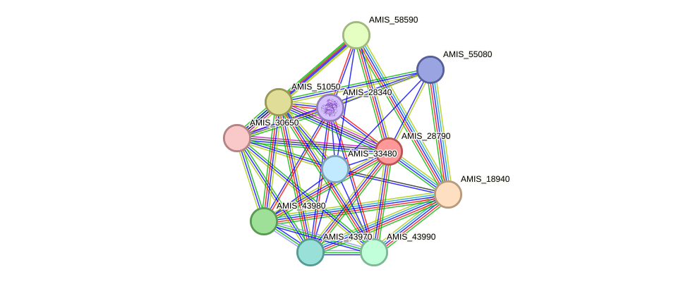 STRING protein interaction network