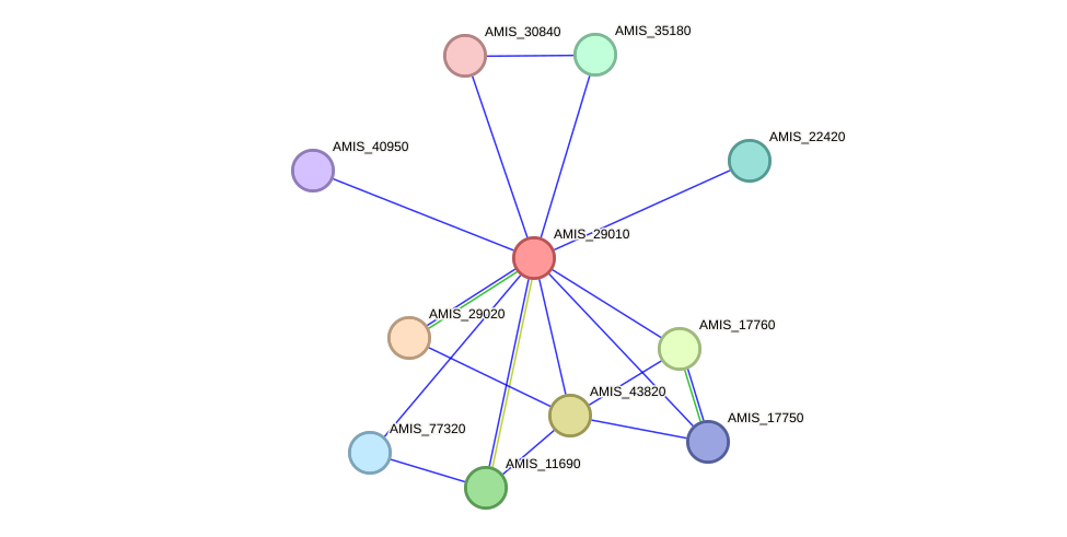 STRING protein interaction network