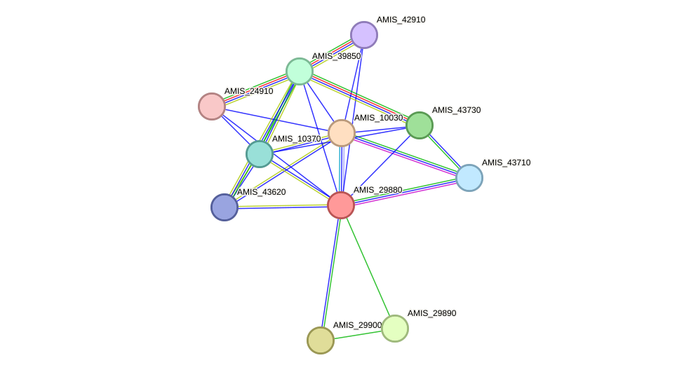 STRING protein interaction network