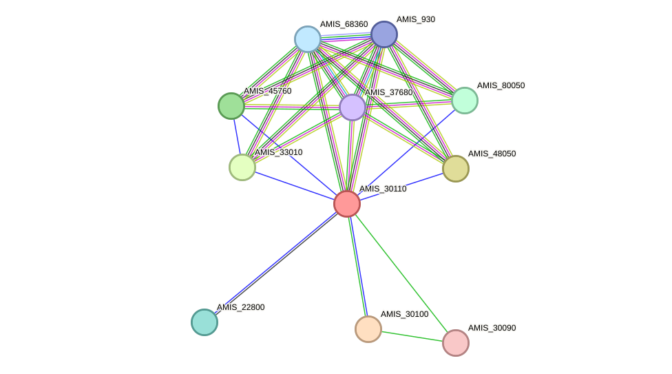 STRING protein interaction network