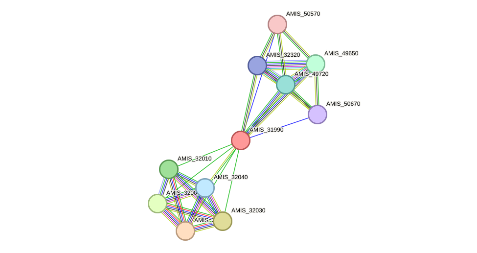 STRING protein interaction network