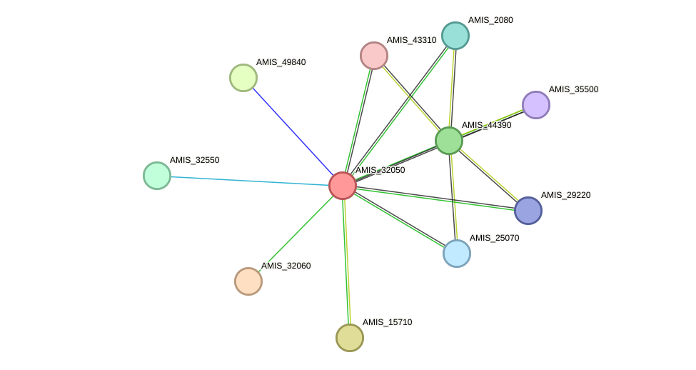 STRING protein interaction network