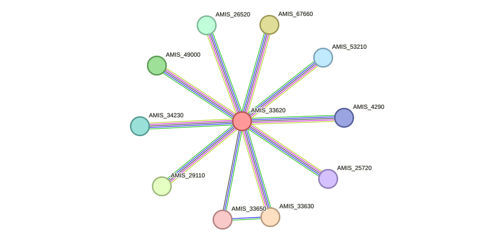 STRING protein interaction network