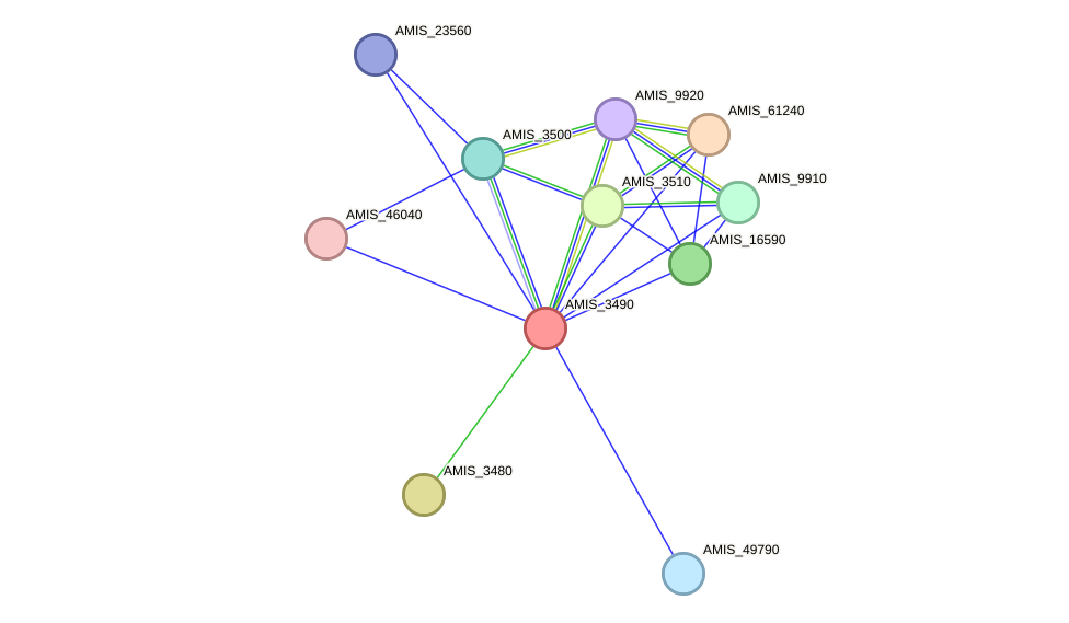 STRING protein interaction network