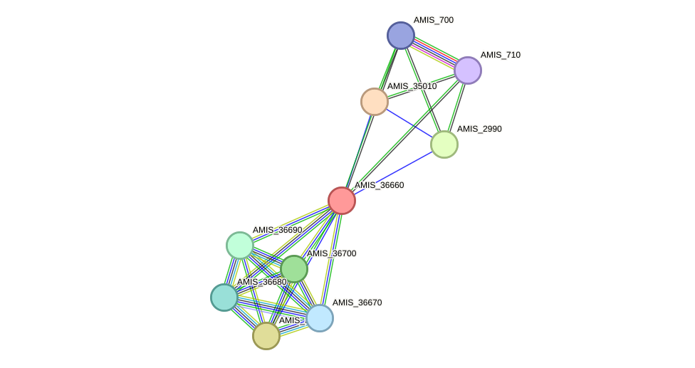 STRING protein interaction network