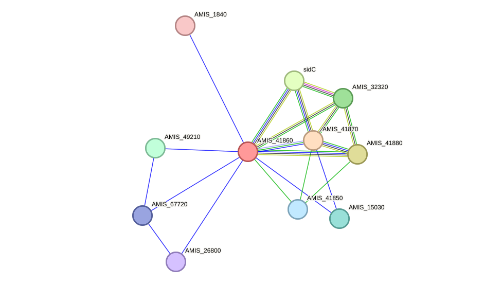 STRING protein interaction network