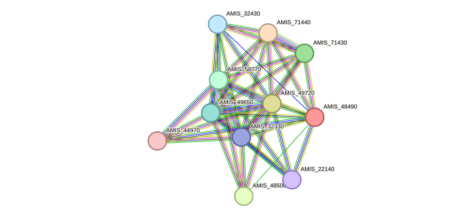 STRING protein interaction network