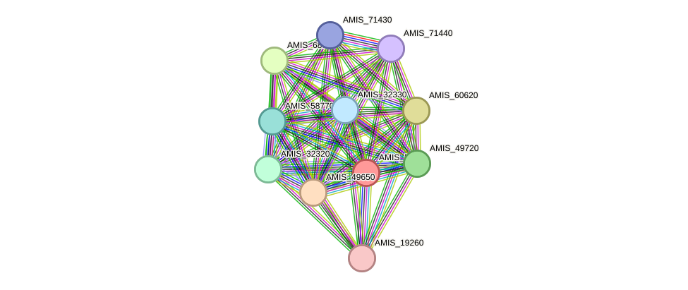 STRING protein interaction network