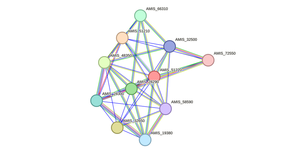 STRING protein interaction network