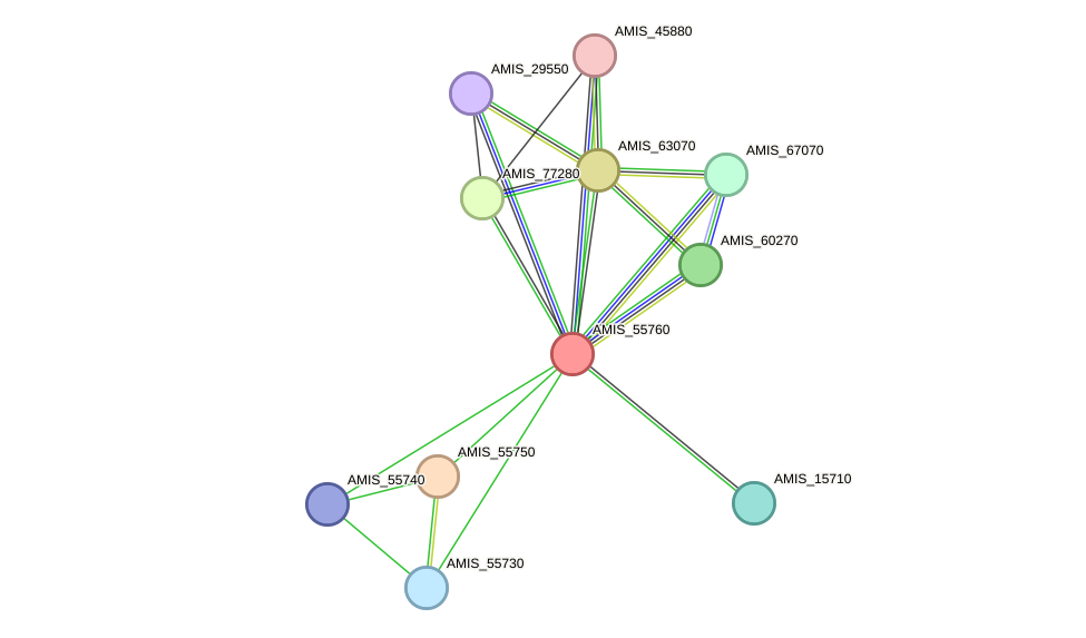 STRING protein interaction network