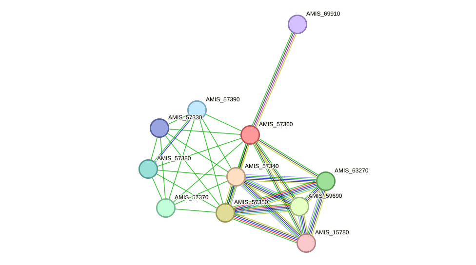 STRING protein interaction network