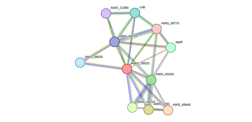 STRING protein interaction network