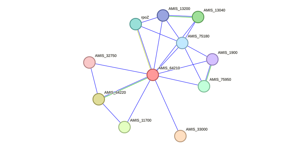 STRING protein interaction network