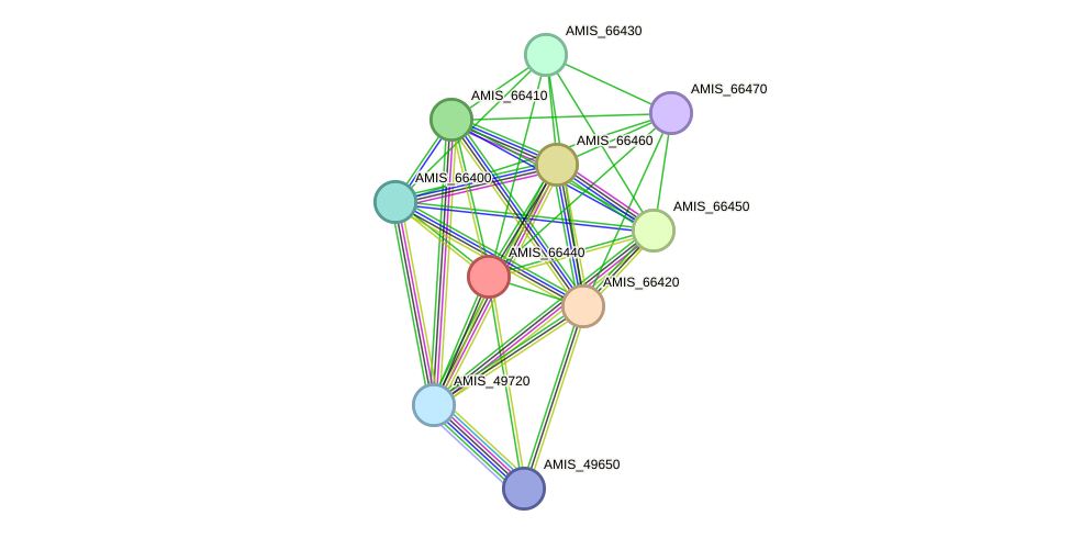 STRING protein interaction network