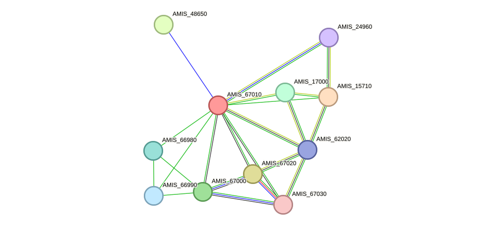 STRING protein interaction network