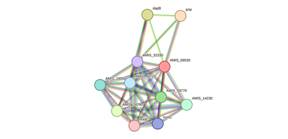 STRING protein interaction network