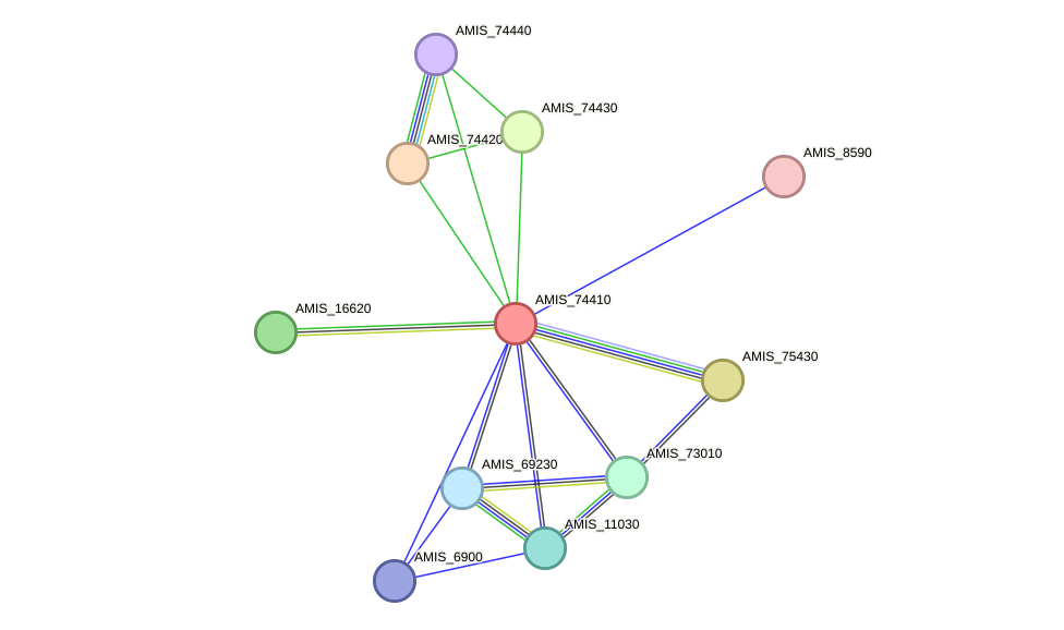 STRING protein interaction network