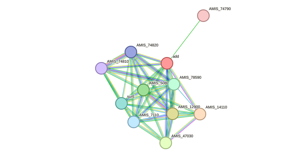 STRING protein interaction network