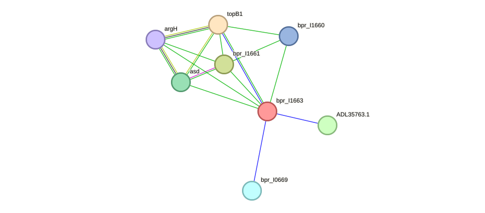 STRING protein interaction network