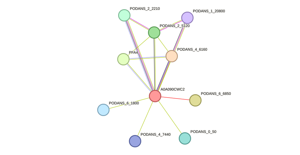 STRING protein interaction network