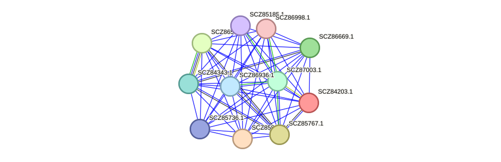 STRING protein interaction network