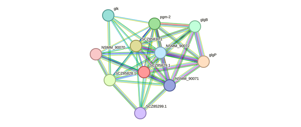 STRING protein interaction network