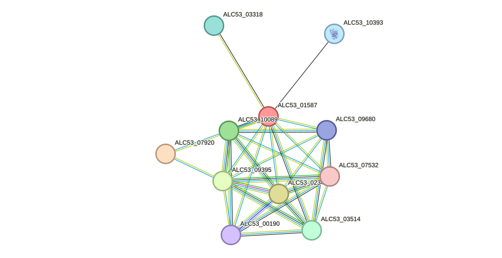 STRING protein interaction network