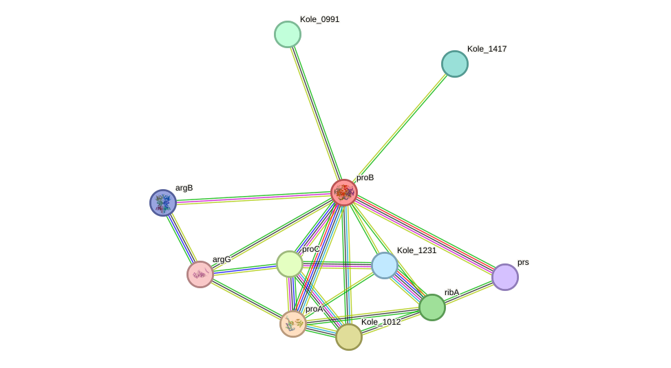 STRING protein interaction network