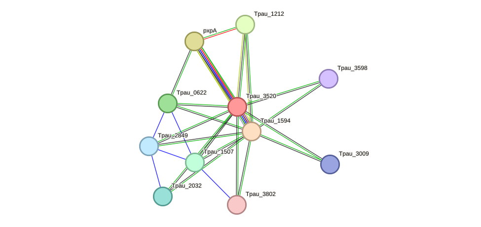 STRING protein interaction network