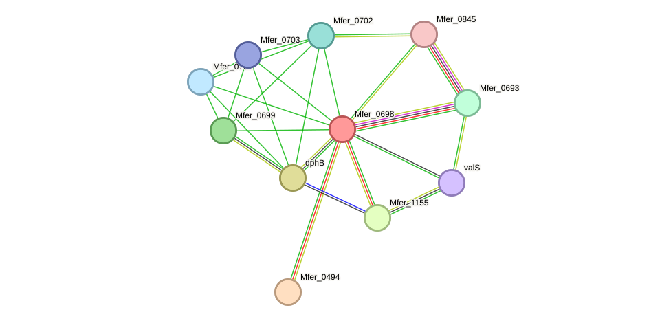 STRING protein interaction network