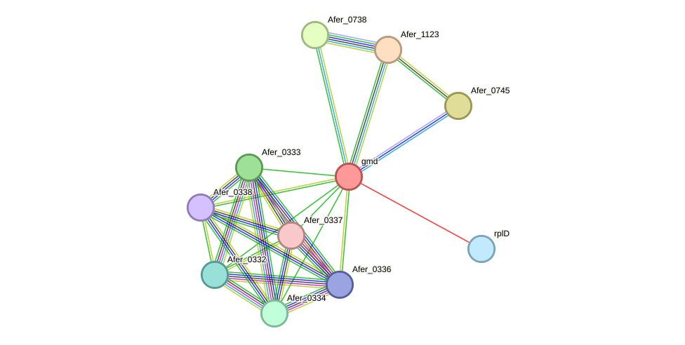 STRING protein interaction network