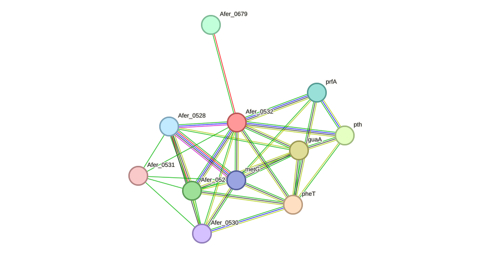 STRING protein interaction network