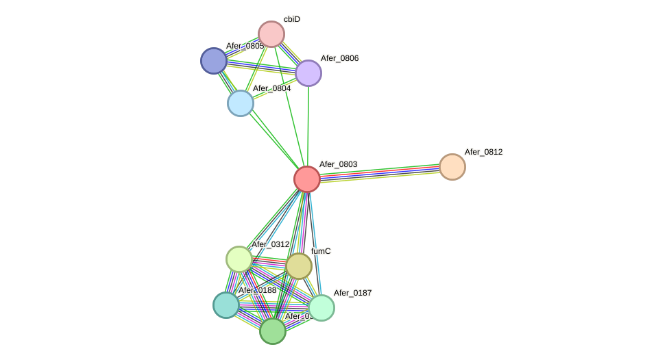 STRING protein interaction network