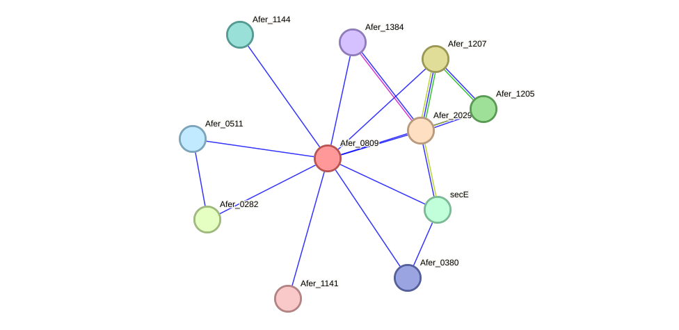 STRING protein interaction network