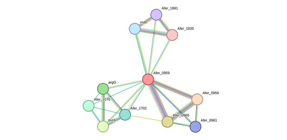 STRING protein interaction network