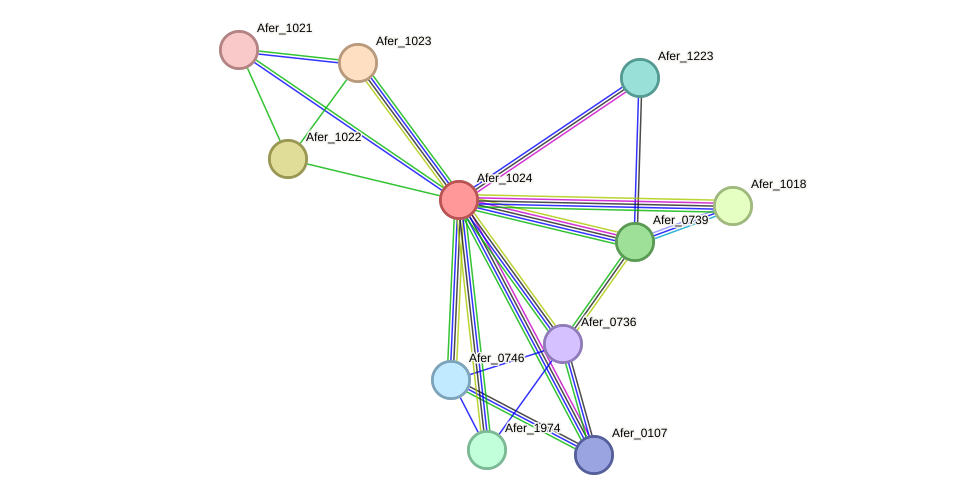 STRING protein interaction network